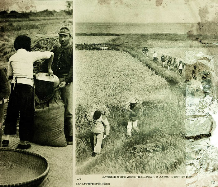 1937年淞沪会战（八·一三事变）影像资料集成大全预览图2